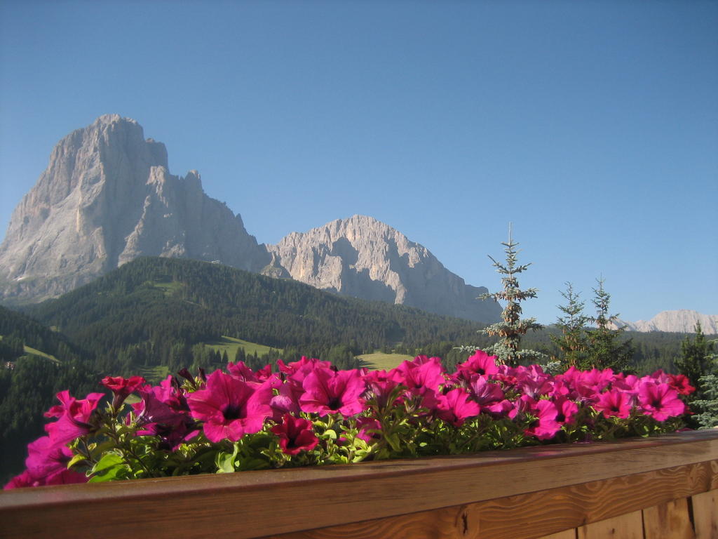 Apartments Etruska Santa Cristina Val Gardena Rum bild